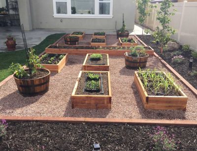 raised planter boxes