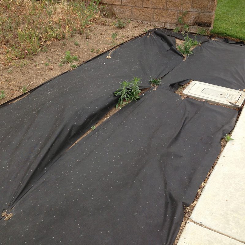 When to Use And Not to Use Weed Mats McCabe's Landscape Construction