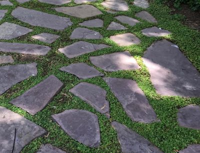 Planted flagstone patio