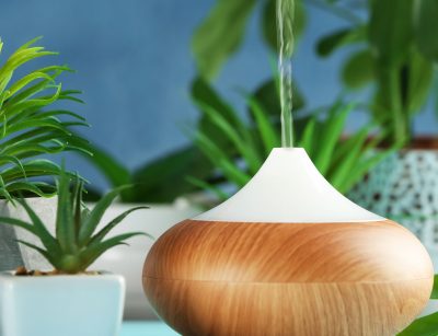 Aroma oil diffuser and plants on table