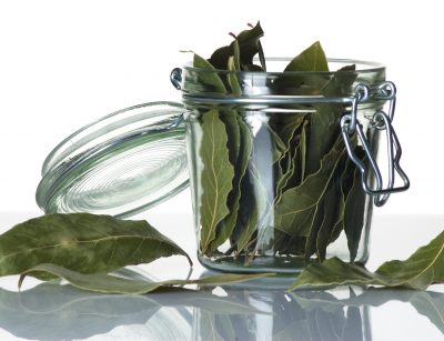 Jar of dried Laurel leaves