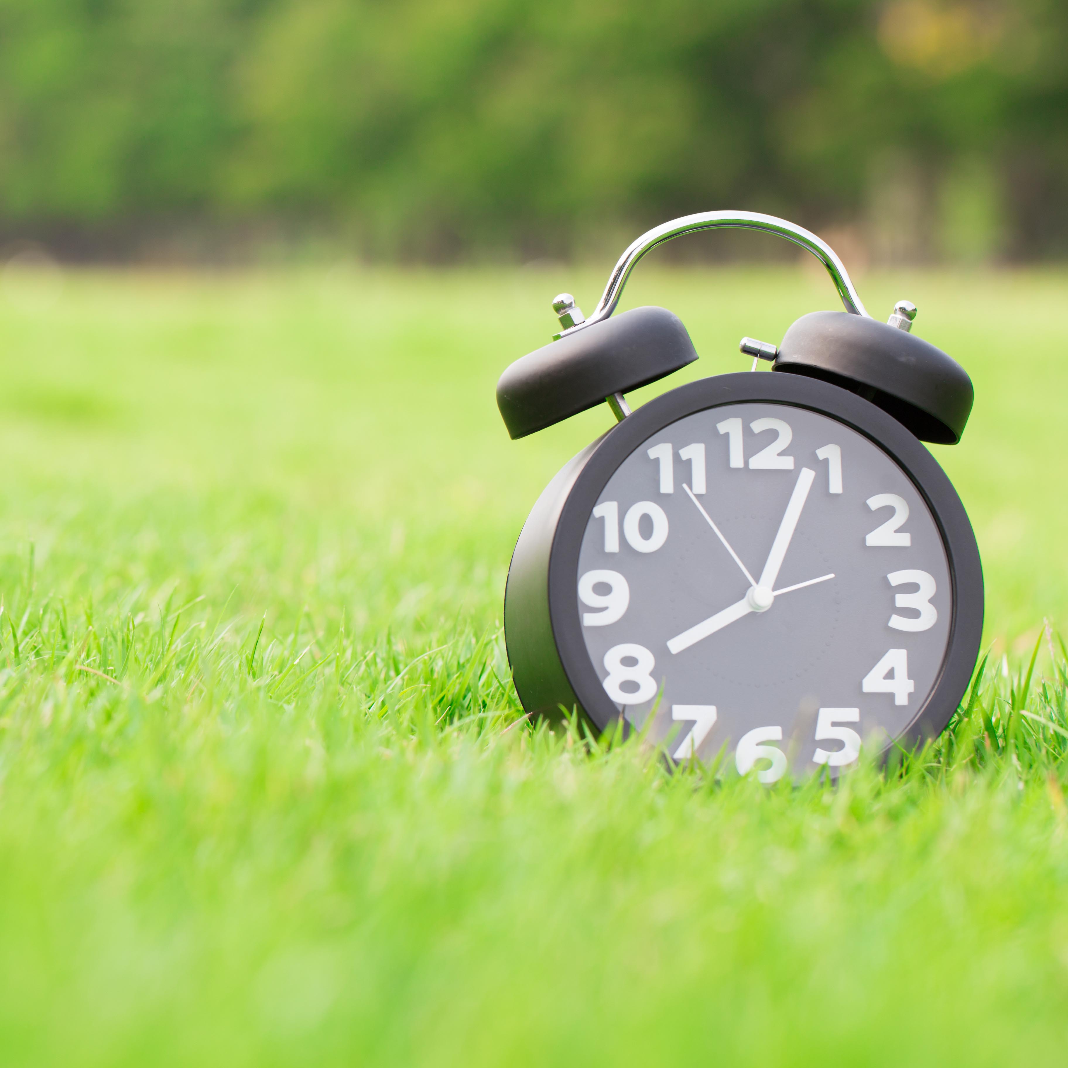 analog alarm clock in grass