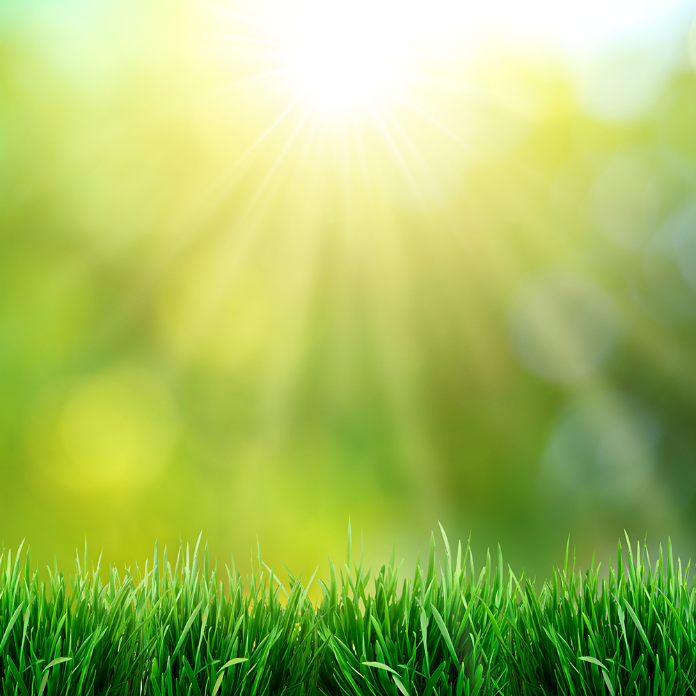 Green grass
