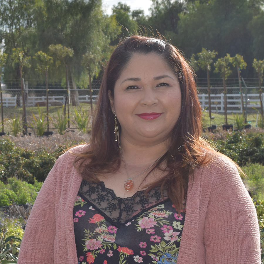 Juana Diaz Nursery Manager