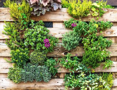 Pallet garden