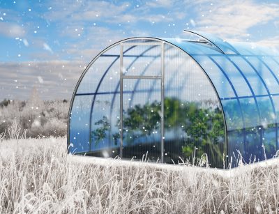 winter greenhouse