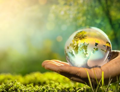 glass globe in nature