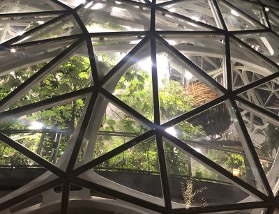 Amazon's Seattle Spheres