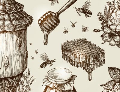 Bees and honey