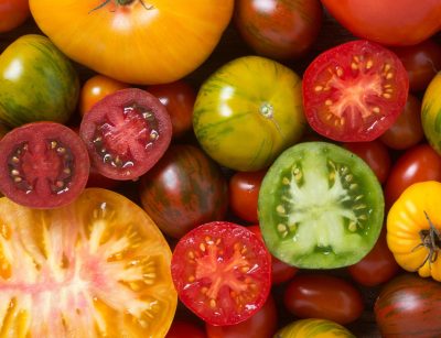 Tomatoes