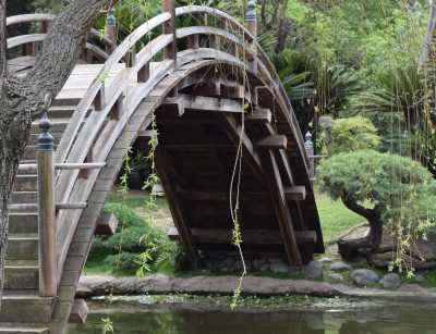 Bridge at Huntington Gardens