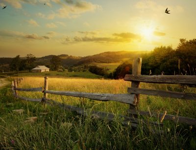 agrihood