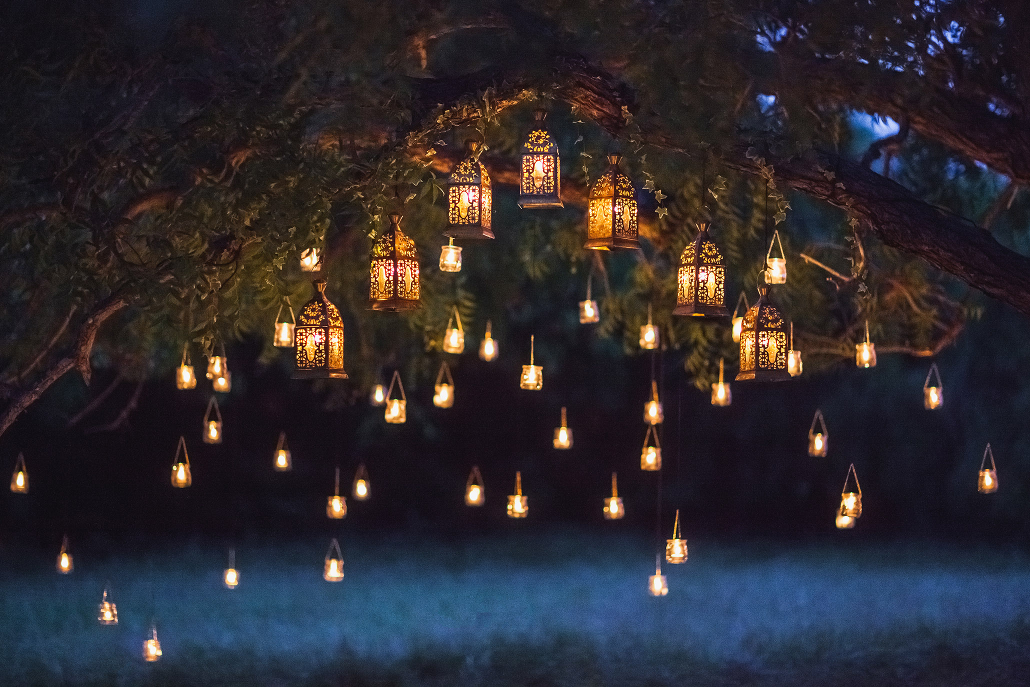 Night garden with lights and lanterns