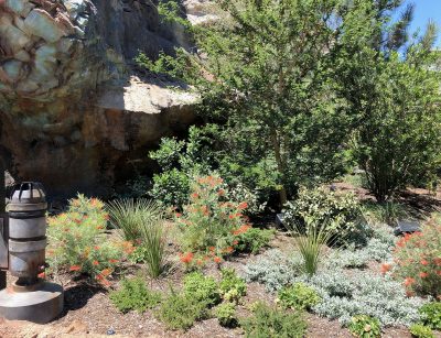 Star Wars Land - Disneyland