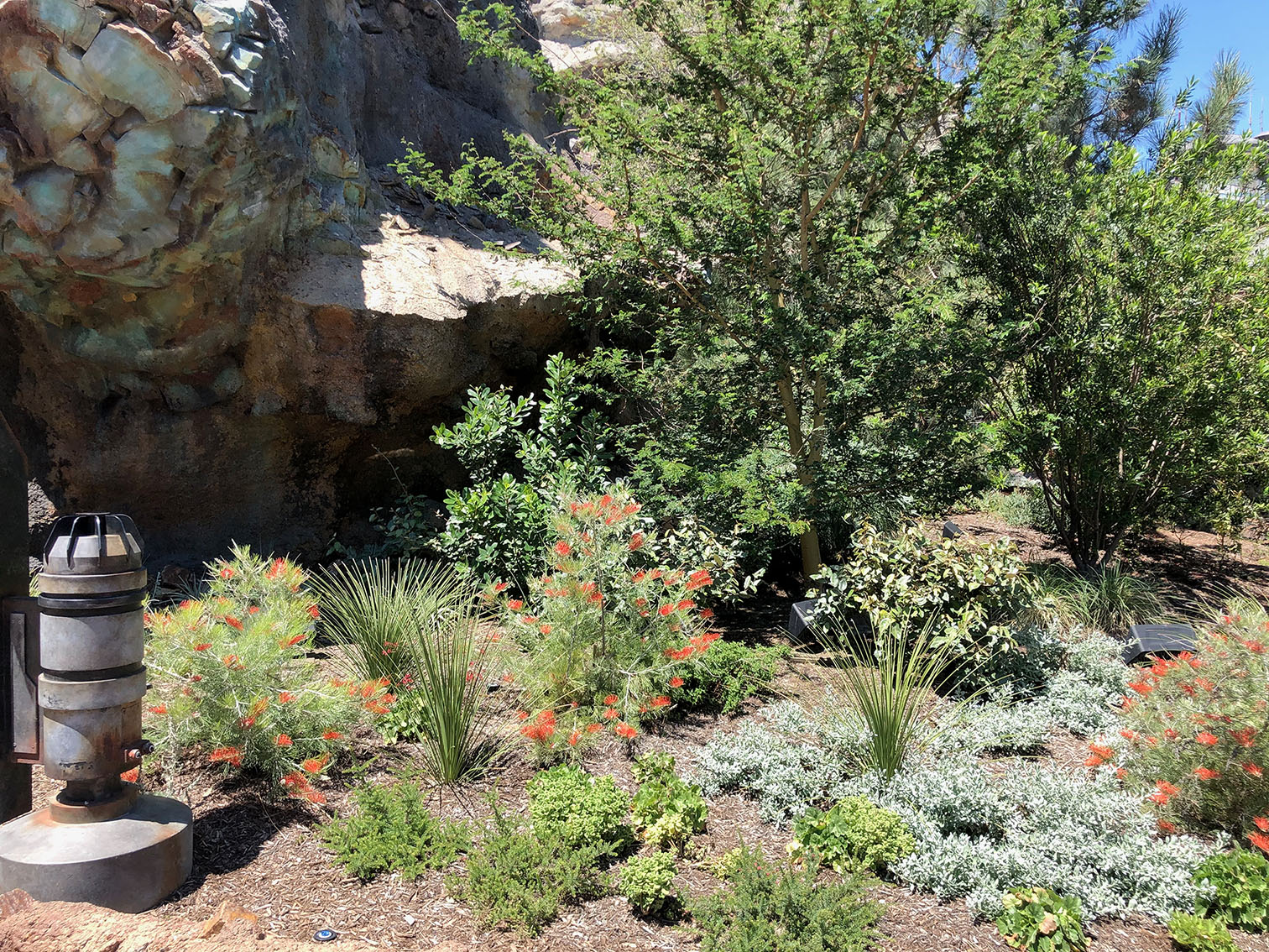 Star Wars Land - Disneyland