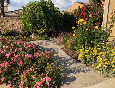 front yard landscaping