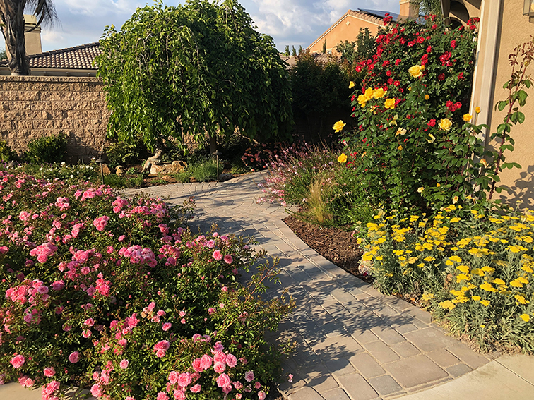 front yard landscaping