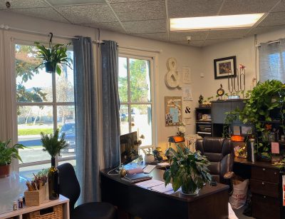 McCabe's Landscape Office Plants